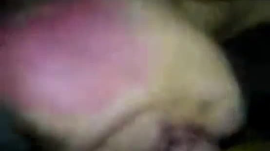 Hindi 1st night sex video