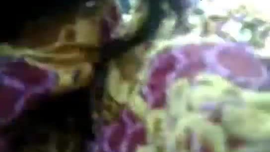 Shaved pussy bangla baby outdoor wid audio