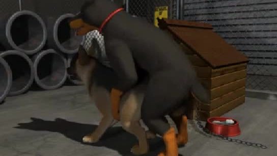 Gay dogs fucking