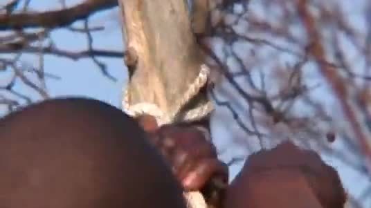African chubby babe outdoor whipped tied up