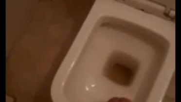 Indian man cum in office toilet